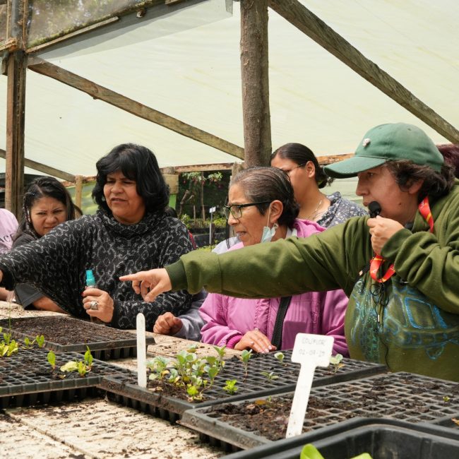 Talleres de agricultura urbana en el Aula Ambiental Vivero La Requilina, Usme