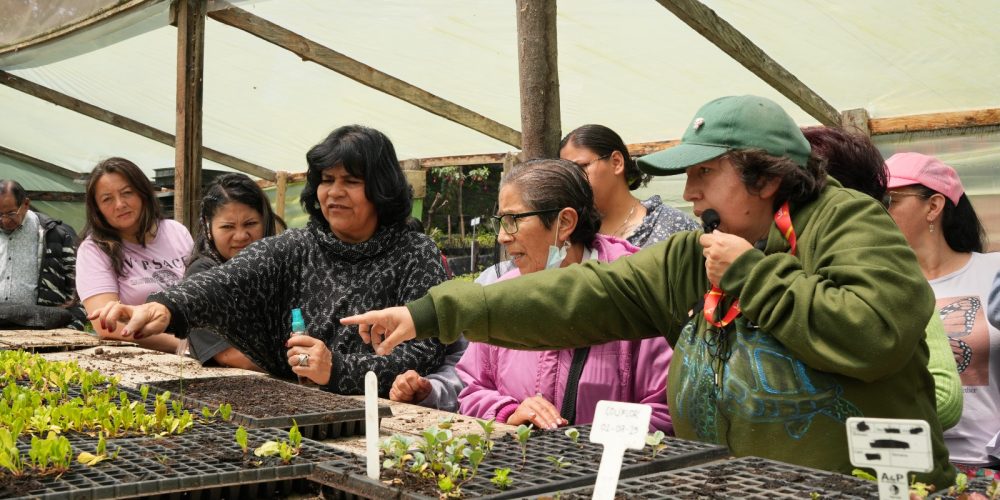 Talleres de agricultura urbana en el Aula Ambiental Vivero La Requilina, Usme