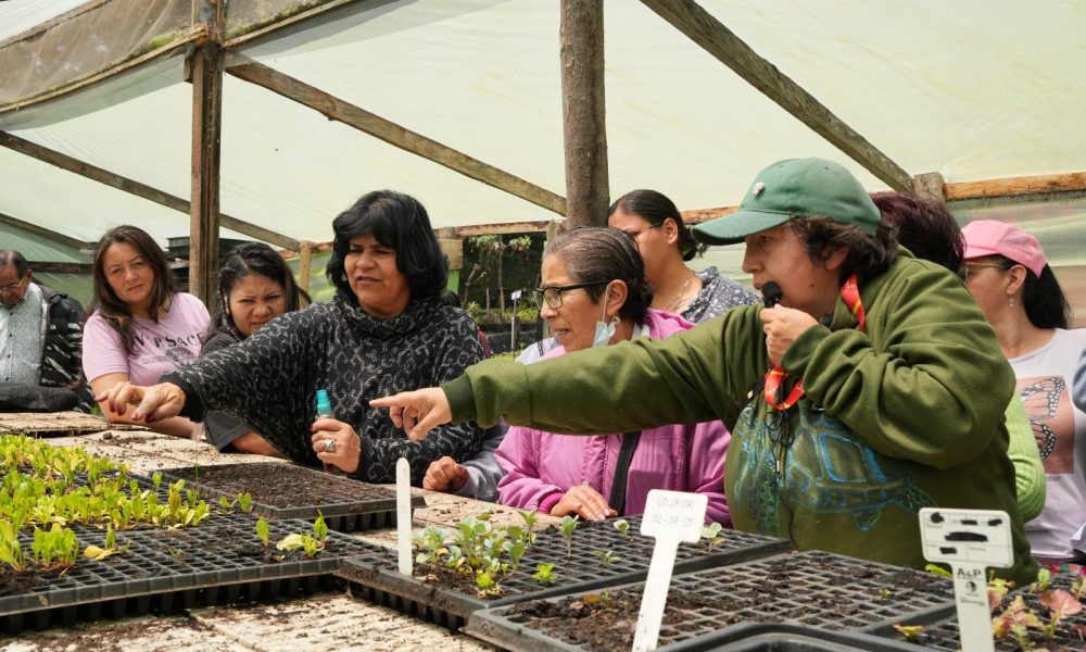 Talleres de agricultura urbana en el Aula Ambiental Vivero La Requilina, Usme