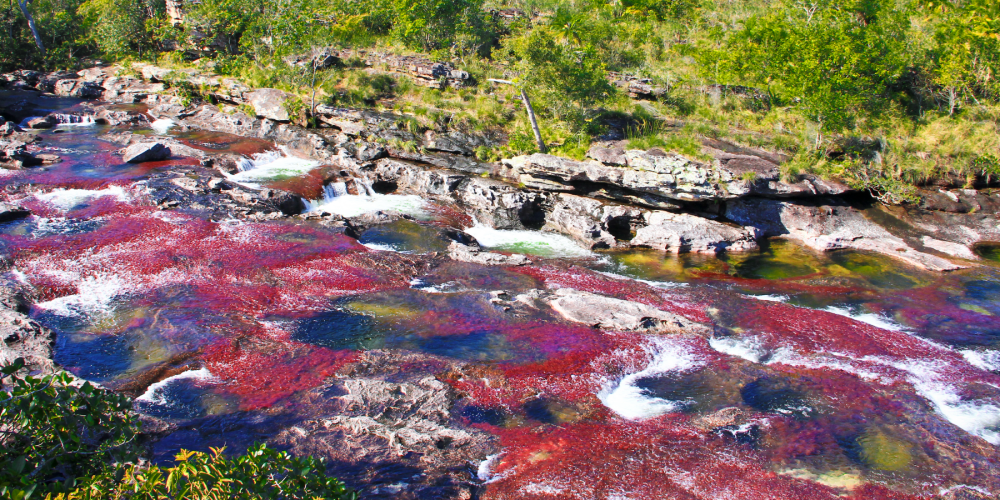 Los destinos turísticos enfocan su mirada a  sitios ecológicos de Colombia