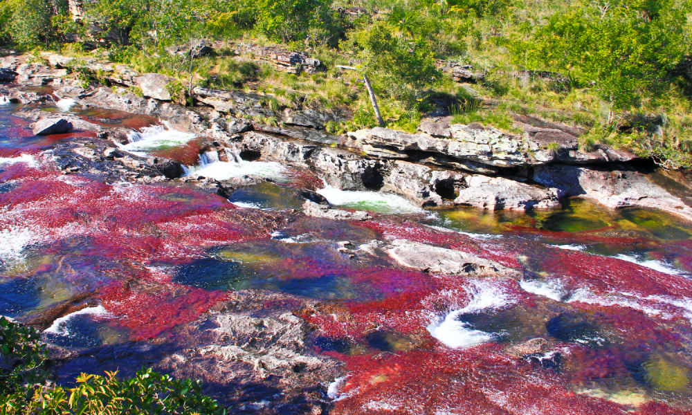 Los destinos turísticos enfocan su mirada a  sitios ecológicos de Colombia