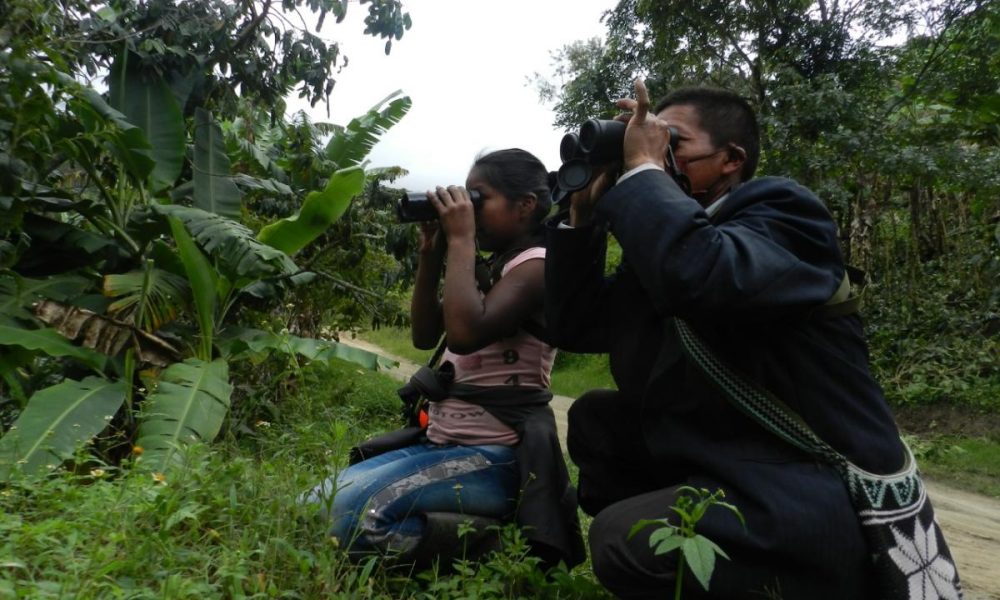 Excombatientes e indígenas se capacitan en avistamiento de aves en el sur del Tolima