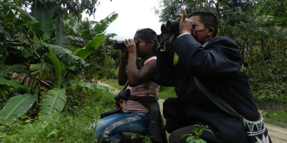 Excombatientes e indígenas se capacitan en avistamiento de aves en el sur del Tolima