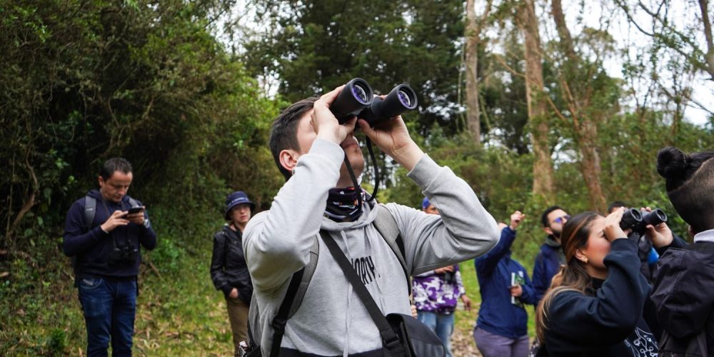 Colombia: Un destino líder en avistamiento de aves