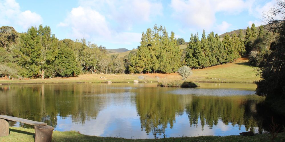 Pesca Deportiva en Usme: Una Opción de Tranquilidad en Alianza Buitaki y Otros Espacios