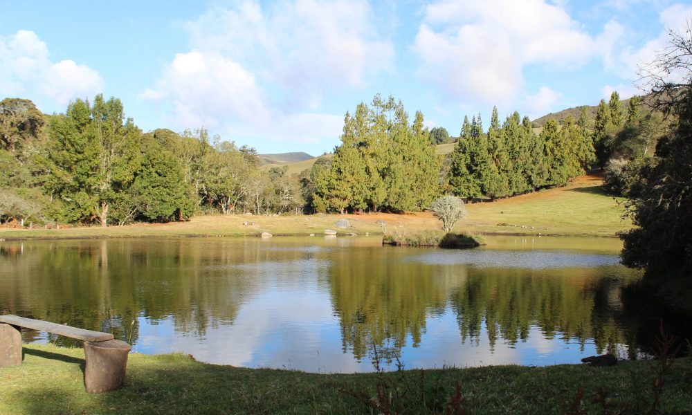 Pesca Deportiva en Usme: Una Opción de Tranquilidad en Alianza Buitaki y Otros Espacios