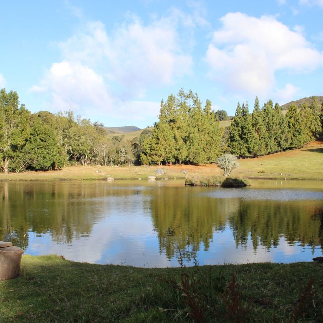 Pesca Deportiva en Usme: Una Opción de Tranquilidad en Alianza Buitaki y Otros Espacios