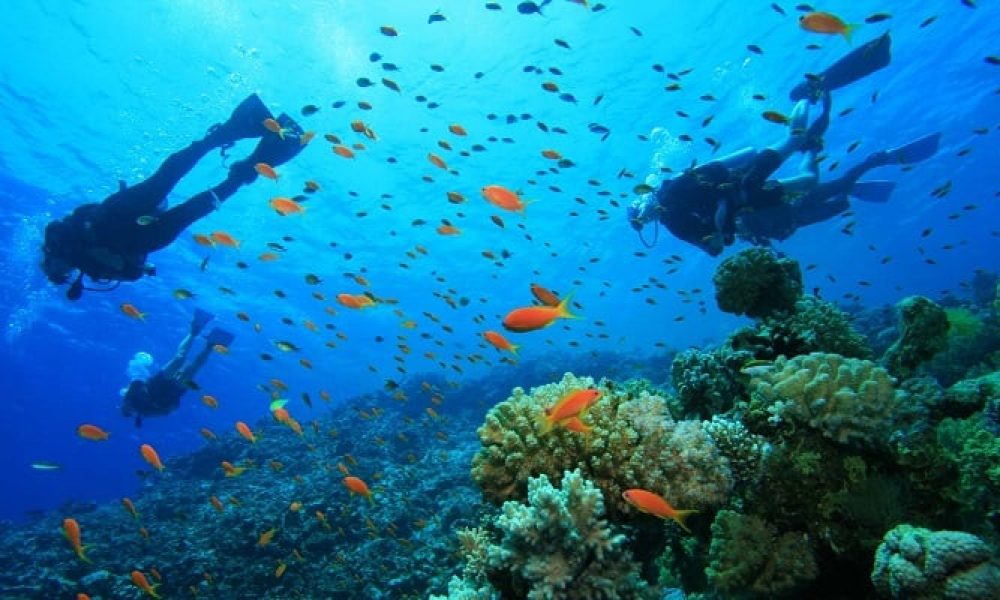 Turismo en Colombia: Descubre 3 impresionantes playas para el buceo en el país