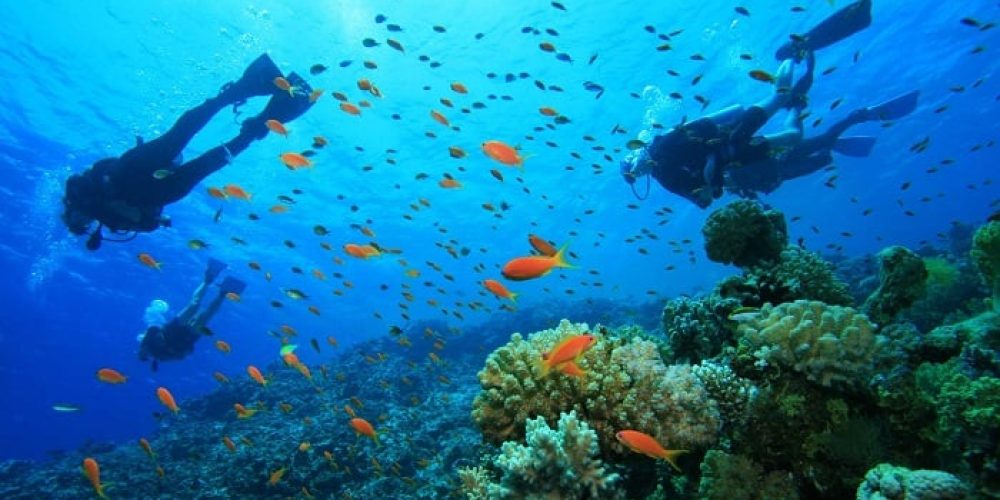Turismo en Colombia: Descubre 3 impresionantes playas para el buceo en el país