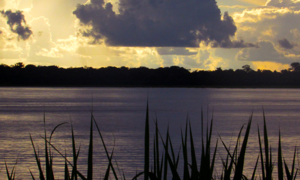 El Amazonas se reactiva con el turismo ecológico