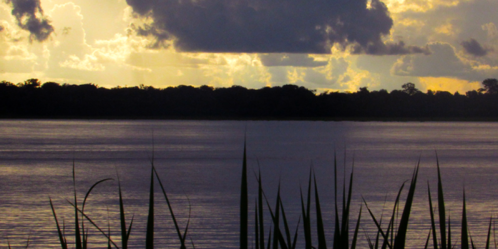 El Amazonas se reactiva con el turismo ecológico