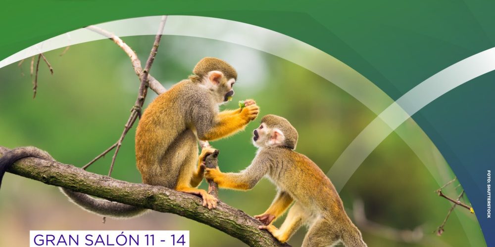 Los mejores destinos de Colombia en la feria Anato 2024