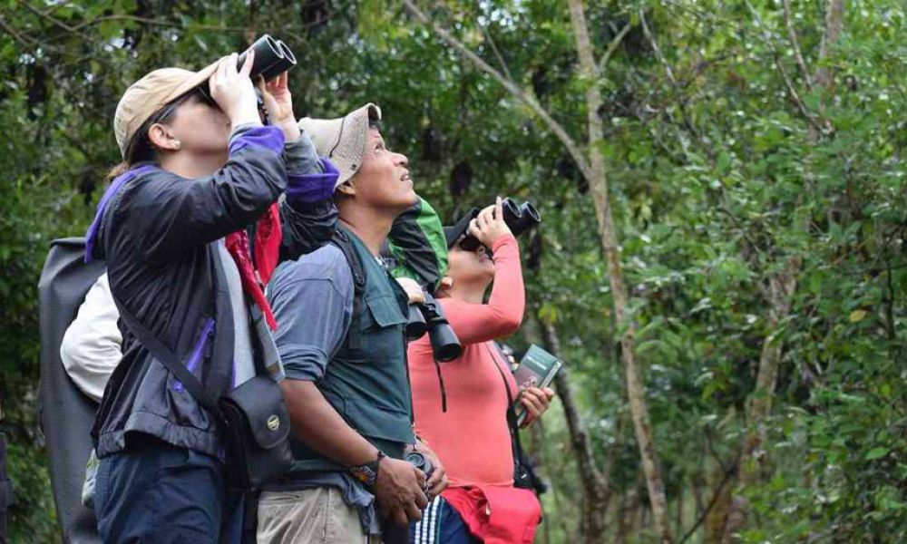 Fuente: “Colombia lanza guía para hacer turismo de naturaleza en el país”. Tomado de: Semana.