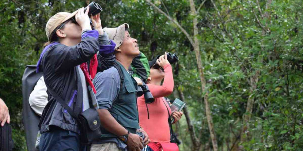 Turismo rural: El sueño ecológico