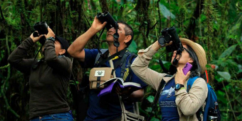 Colombia es el mejor país para pajarear