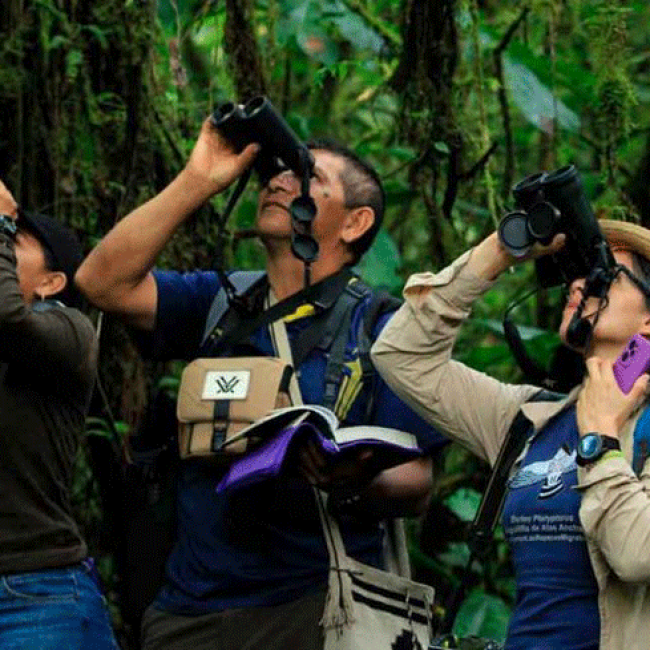 Colombia es el mejor país para pajarear