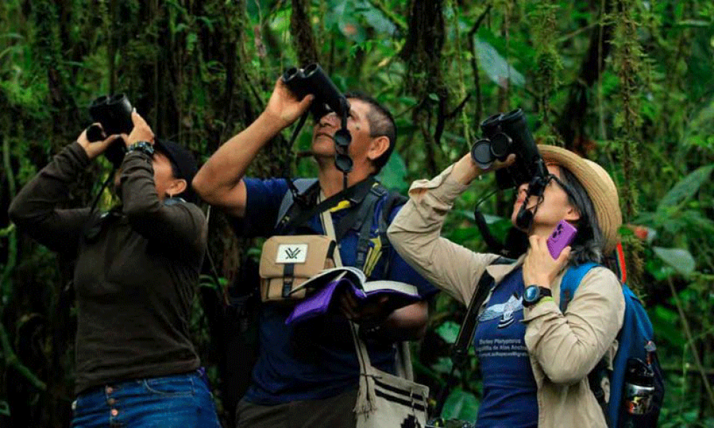 Colombia es el mejor país para pajarear