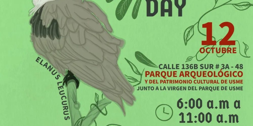 Global Big Day en Usme: Aves, Páramo y Comunidad en Defensa del Territorio