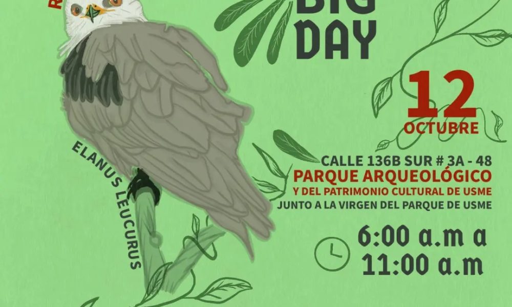 Global Big Day en Usme: Aves, Páramo y Comunidad en Defensa del Territorio