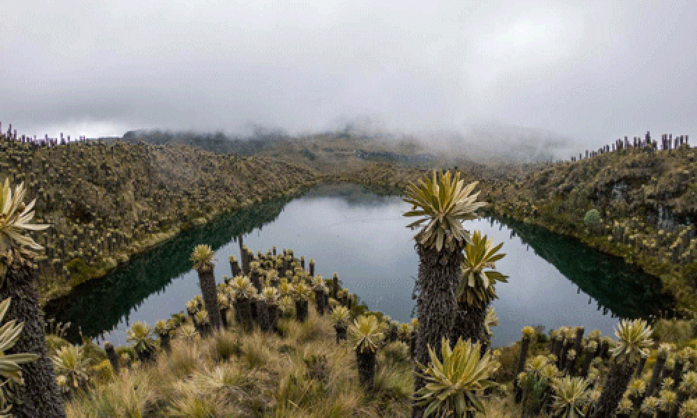 5 Destinos diferentes para viajar este 2025 en Colombia