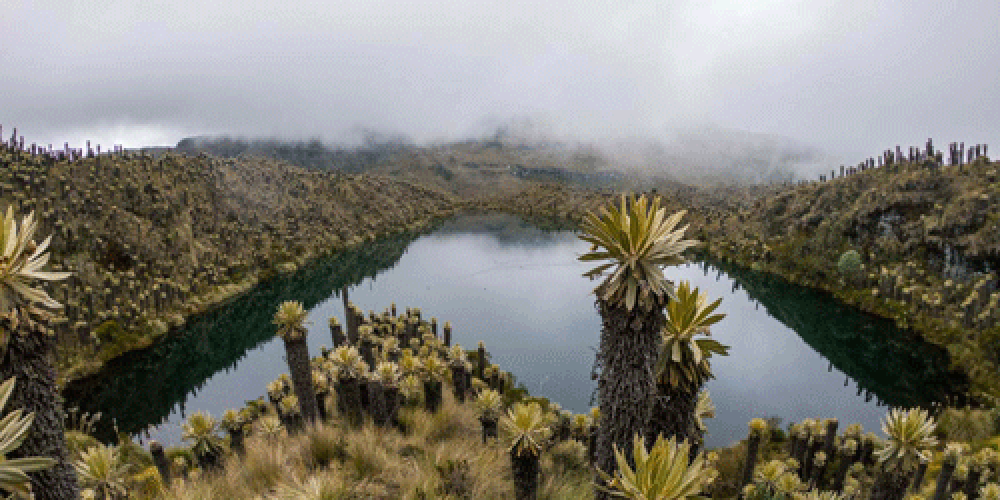 5 Destinos diferentes para viajar este 2025 en Colombia