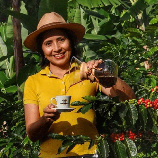 Quindío un destino turístico diverso