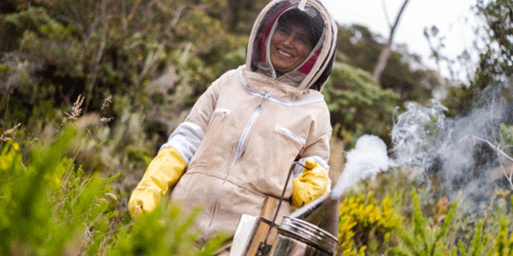 Descubre la Ruta Turística de la Miel en Usme
