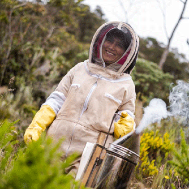 Descubre la Ruta Turística de la Miel en Usme