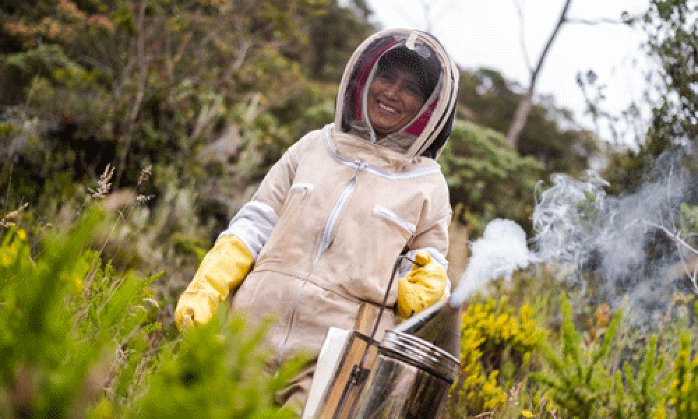 Descubre la Ruta Turística de la Miel en Usme