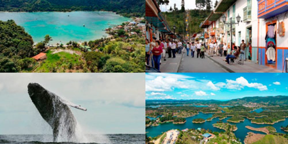 Cinco nuevos catálogos con experiencias únicas y sostenibles para hacer en Colombia