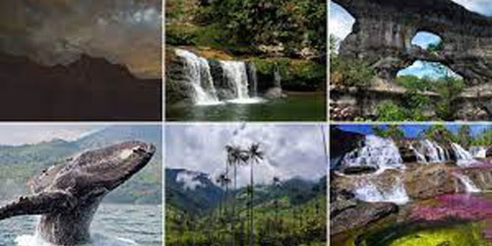 Visita los 4 destinos más exóticos de Colombia
