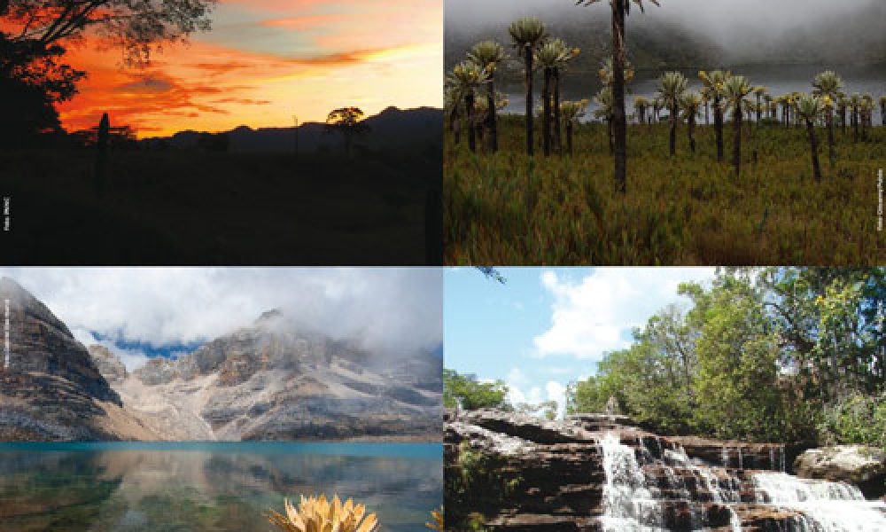 Es el momento de conocer y cuidar nuestros parques nacionales