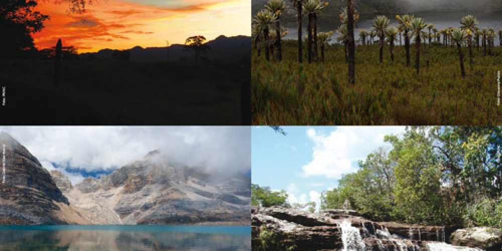 Es el momento de conocer y cuidar nuestros parques nacionales