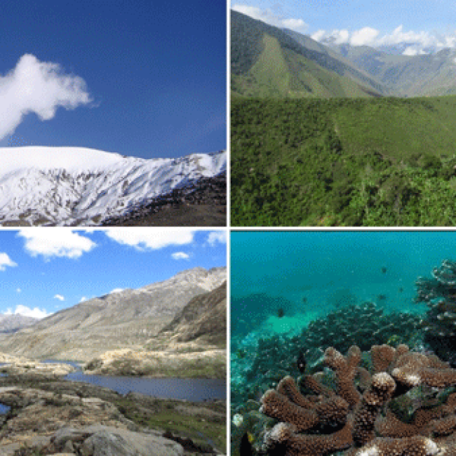 Cinco Parques Naturales para visitar en Colombia