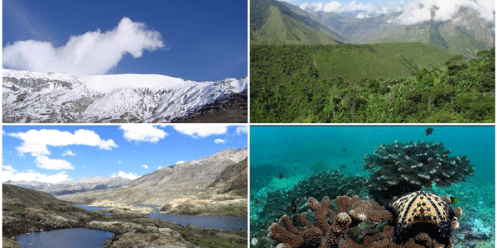 Cinco Parques Naturales para visitar en Colombia