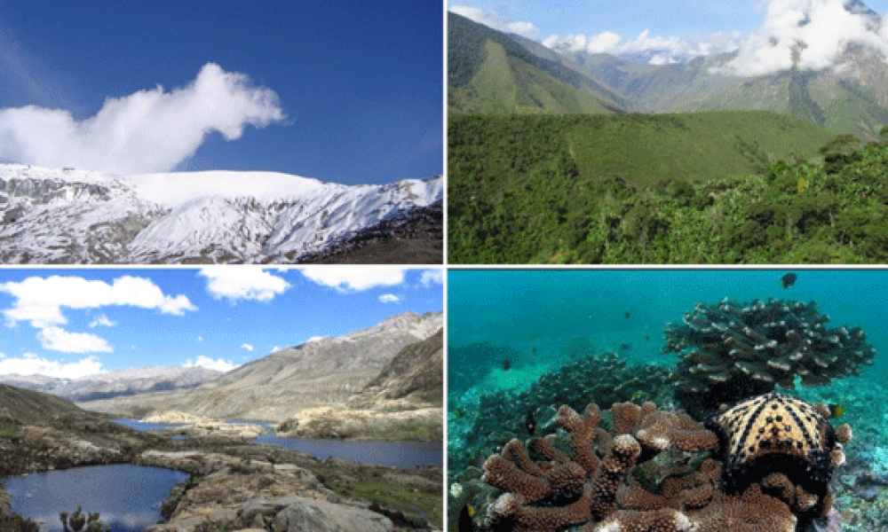 Cinco Parques Naturales para visitar en Colombia