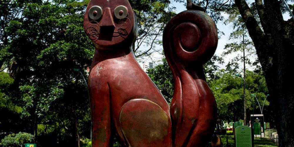 Cali es potencia del turismo médico