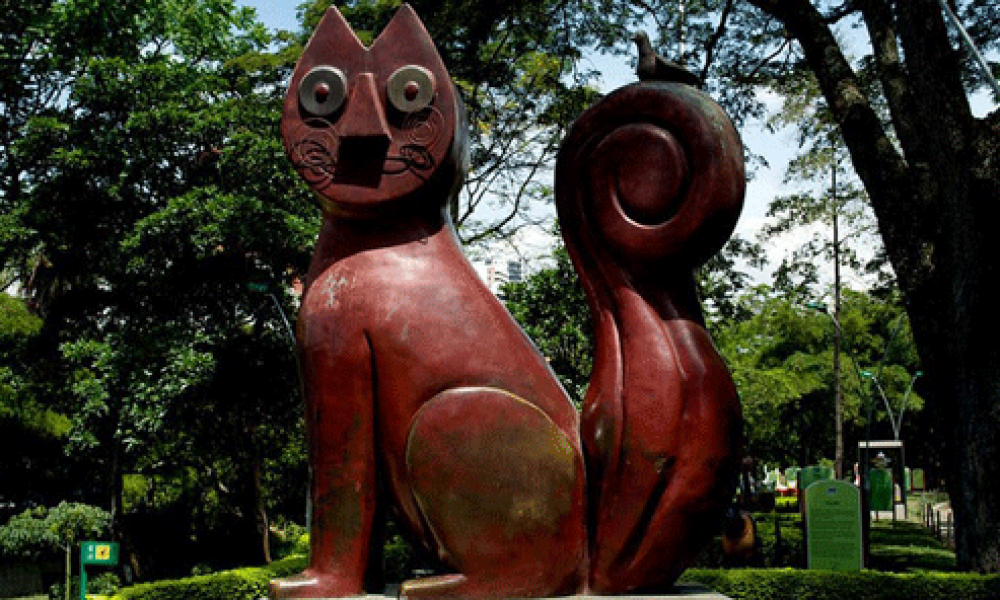 Cali es potencia del turismo médico